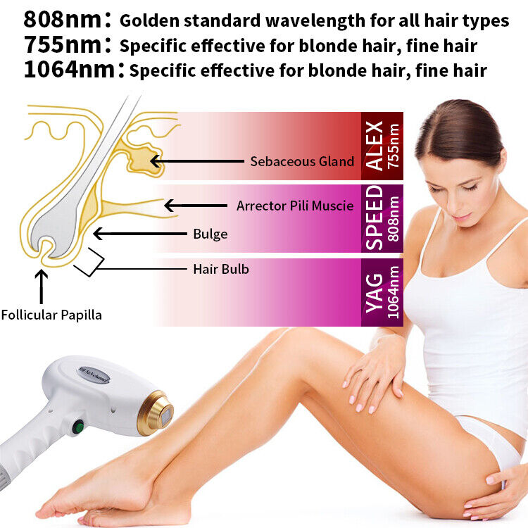 808nm Diode Laser Hair Removal Machine Skin Rejuevantion ND YAG LASER Tattoo Removal